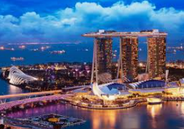 摇钱树捕鱼下载正式版