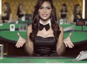 摇钱树捕鱼下载最新版